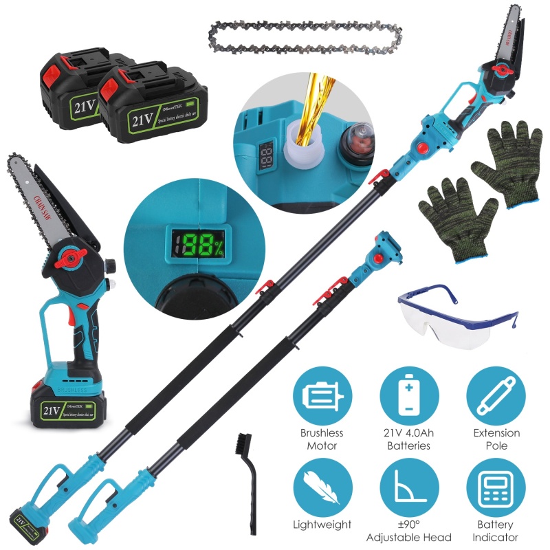 21V Cordless Pole Saw + Mini Chainsaw